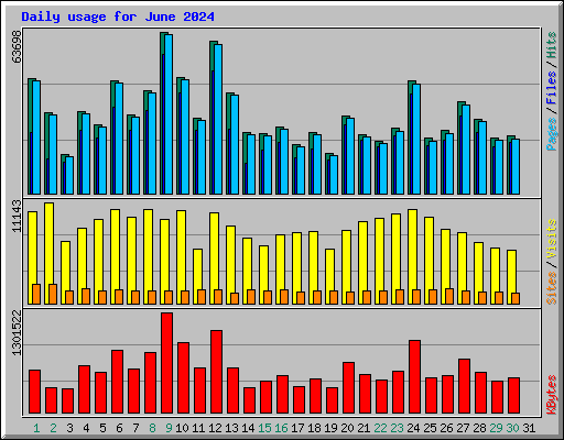 Daily usage for June 2024