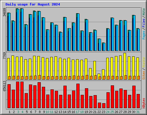 Daily usage for August 2024