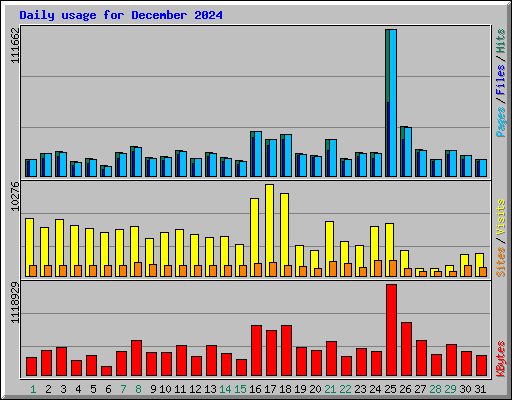 Daily usage for December 2024