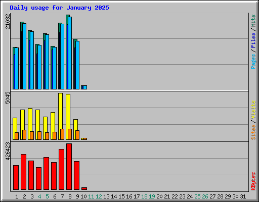 Daily usage for January 2025