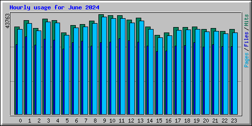 Hourly usage for June 2024