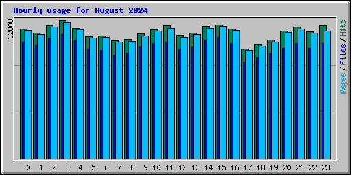 Hourly usage for August 2024