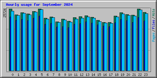 Hourly usage for September 2024