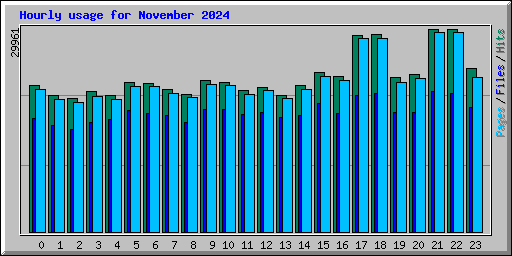 Hourly usage for November 2024