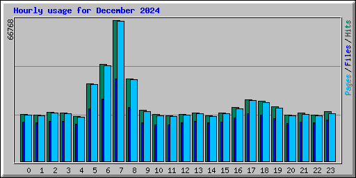 Hourly usage for December 2024