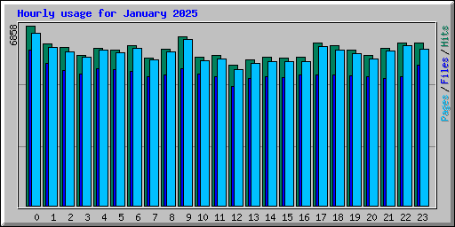 Hourly usage for January 2025